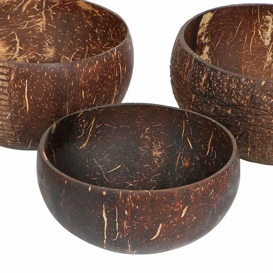 Coconut Shell Food Bowl with Spoon