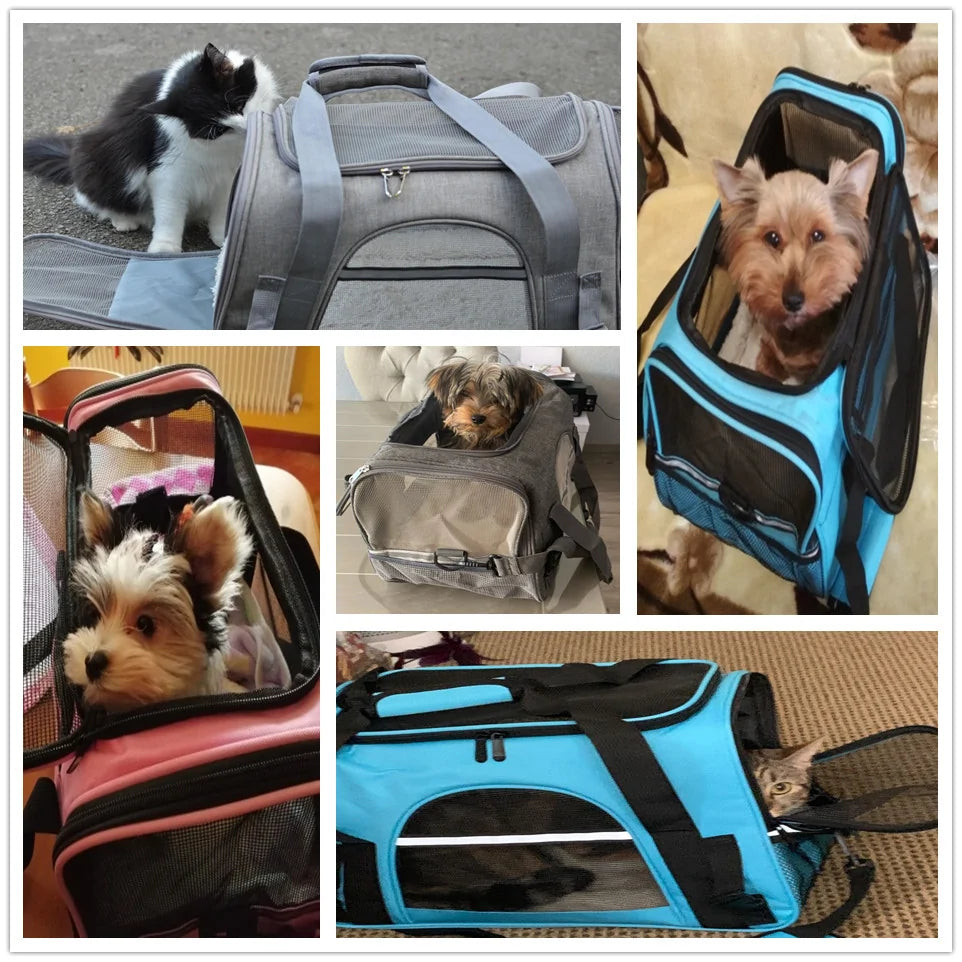 Portable Pet Carrier Travel Bag